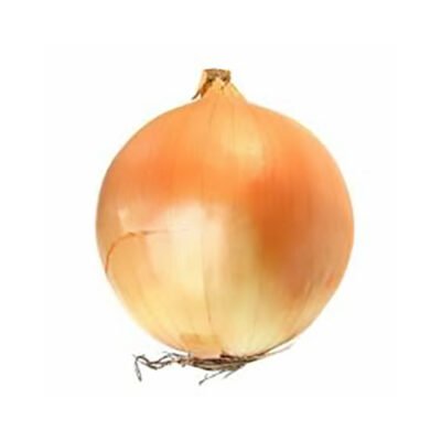 Cipolla dorata 1 Kg - Mangio Anch'io