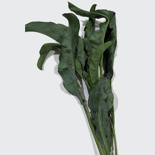 Broccoletti neri al fascetto