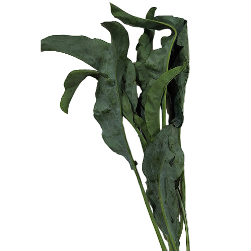 Broccoletti neri al fascetto