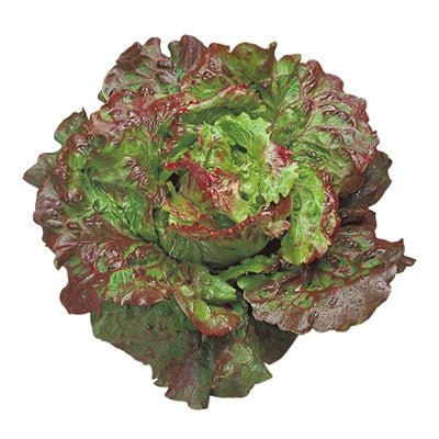 Insalata "Canasta" 1 pz - Mangio Anch'io