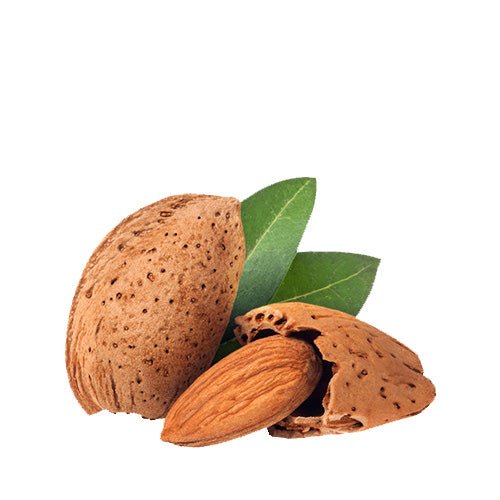 Mandorla in guscio secca 500 gr - Mangio Anch'io