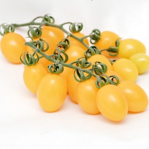 Pomodorino Datterino giallo 500 gr - Mangio Anch'io