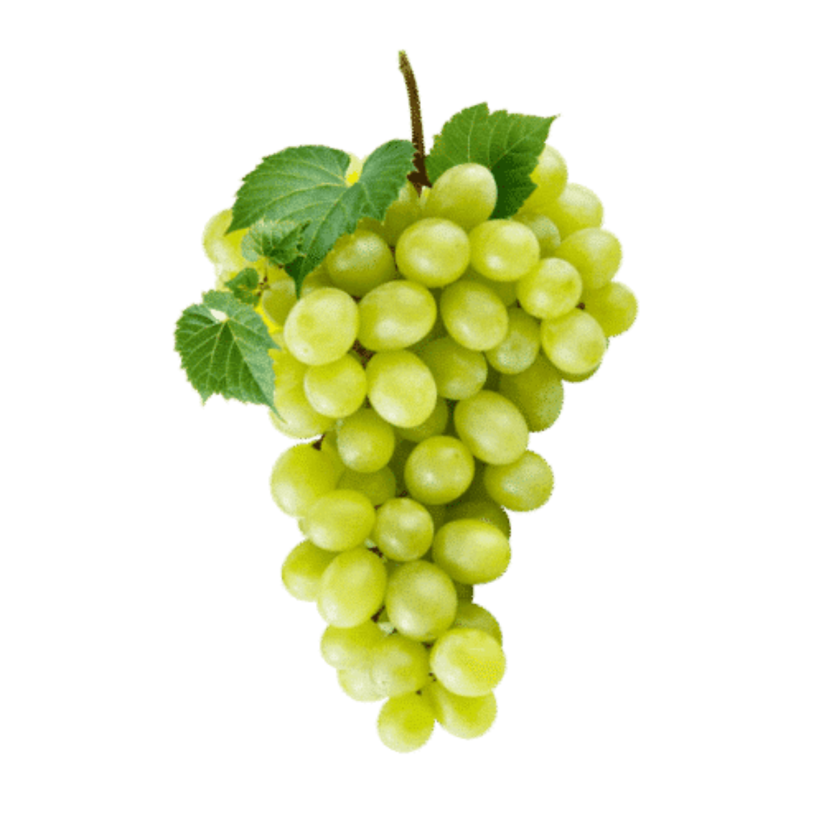 Uva vittoria 1 kg