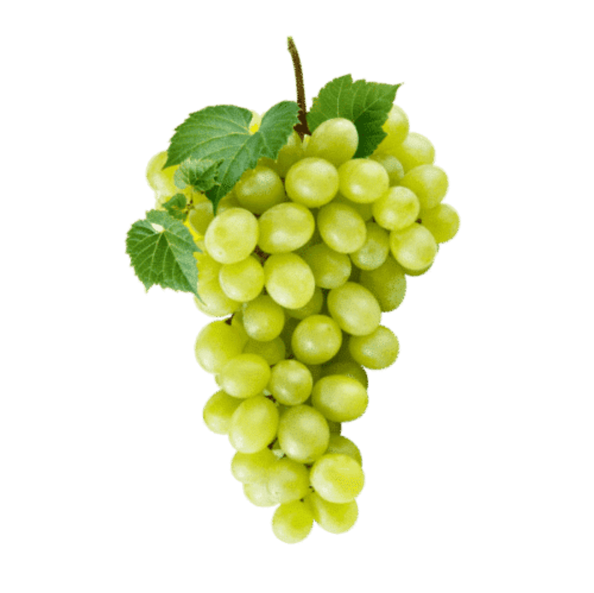 Uva vittoria 500 gr - Mangio Anch'io