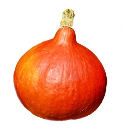 Zucca hokkaido al pz - Mangio Anch'io