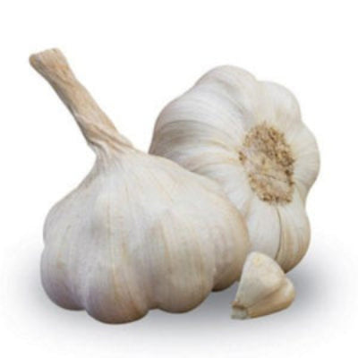 Aglio 1 pz