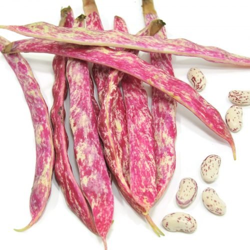 Fagioli borlotti 1 kg - Mangio Anch'io