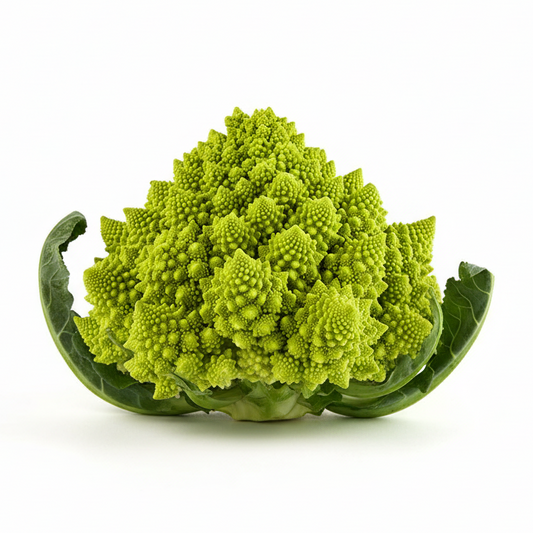 Cavolo romanesco su sfondo bianco puro