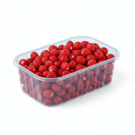 Fragoline 1 vaschetta - Mangio Anch'io