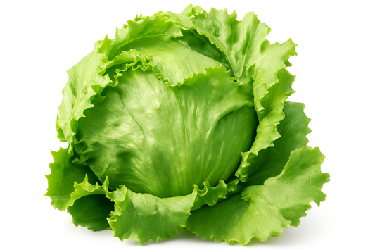 Insalata incappucciata con sfondo bianco