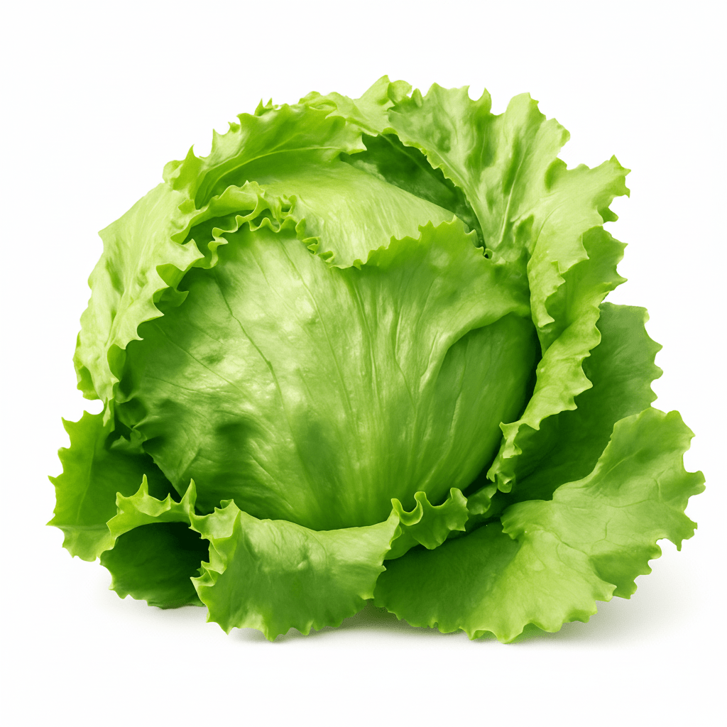 Insalata "Incappucciata" 1Pz - Mangio Anch'io