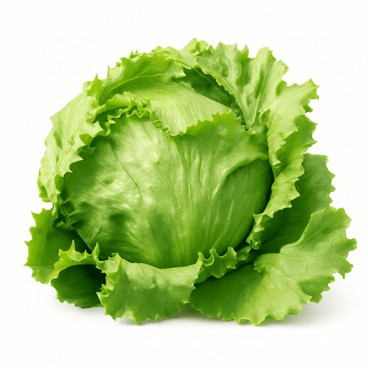 Insalata "Incappucciata" 1Pz - Mangio Anch'io