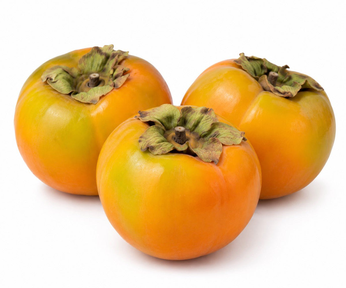 Loti duri 500 gr - Mangio Anch'io