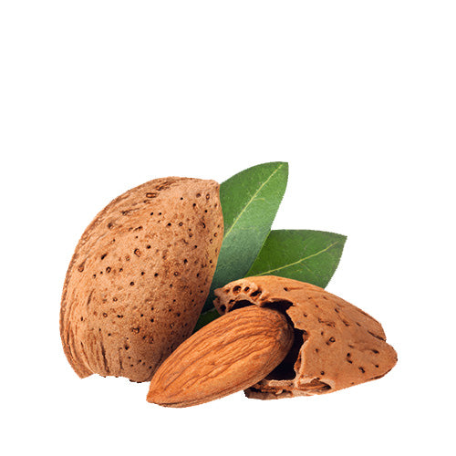Mandorla in guscio secca  500 gr