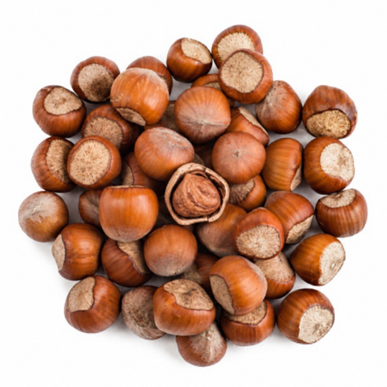 Nocciole con guscio 500 gr