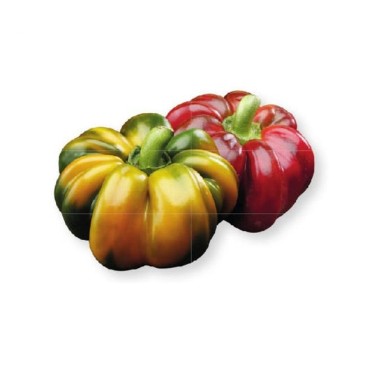 Papaccella riccia napoletana 500 gr - Mangio Anch'io