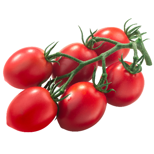 Pomodoro rosso 500 gr