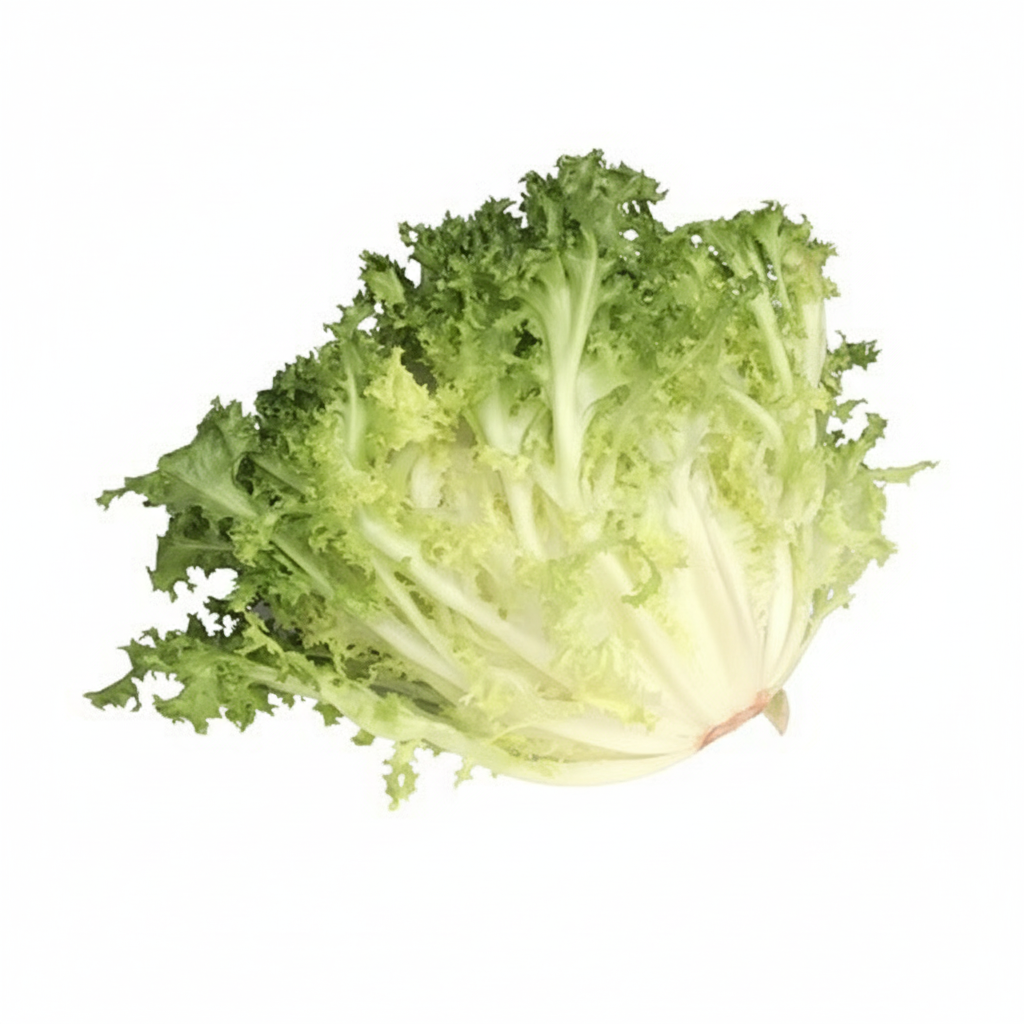 Scarola riccia con sfondo bianco