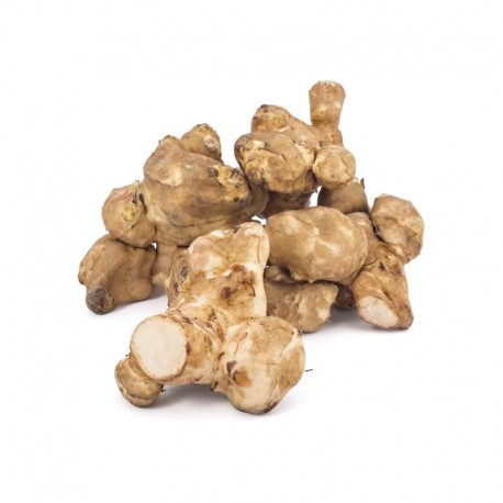 Topinambur 1 Kg